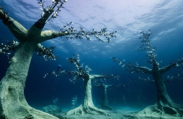 Private Scuba Dive / Try Dive at Musan Underwater Park