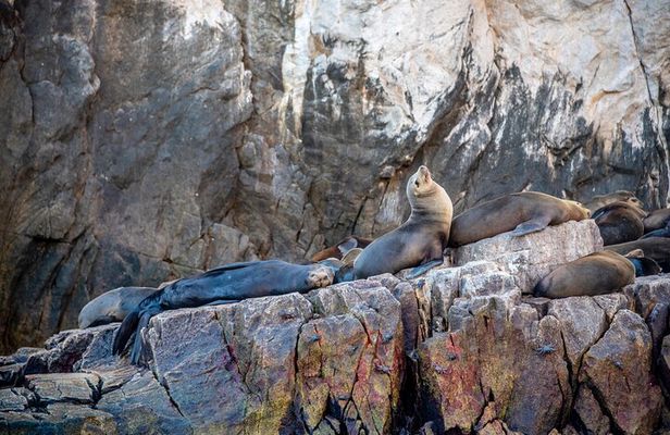 Espiritu Santo Island Tour