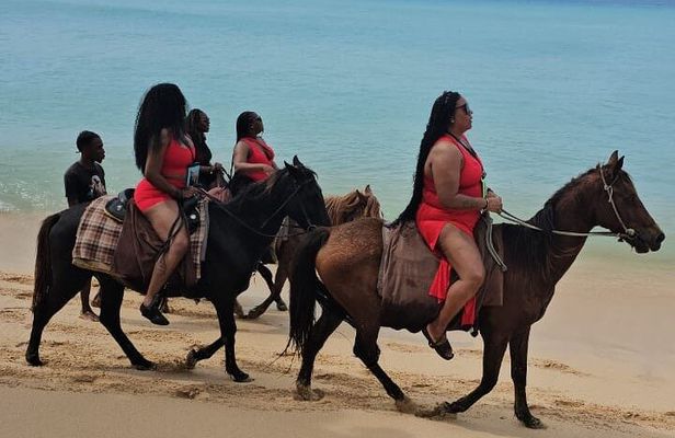 Horseback Riding at Hawksbill Beach in Five islands Antigua