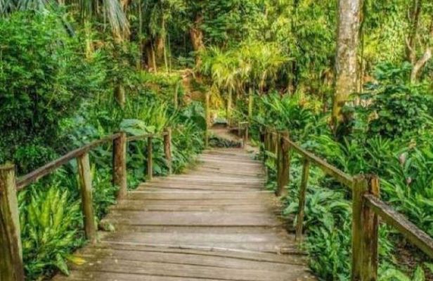 Best of Fiji Tours: 3 Days Package