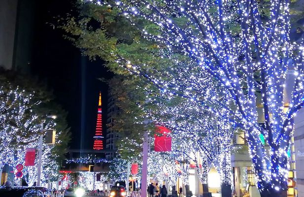 Tokyo Winter Illumination Ebike Tour