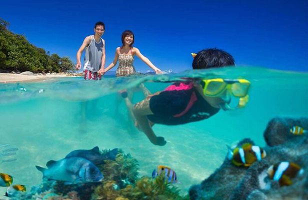 Lihaga Island (white sand island) swimming twice, including lunch and tickets