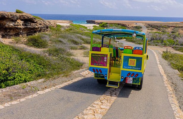 Half Day National Park Safari and Baby Beach by Cross Aruba Tours