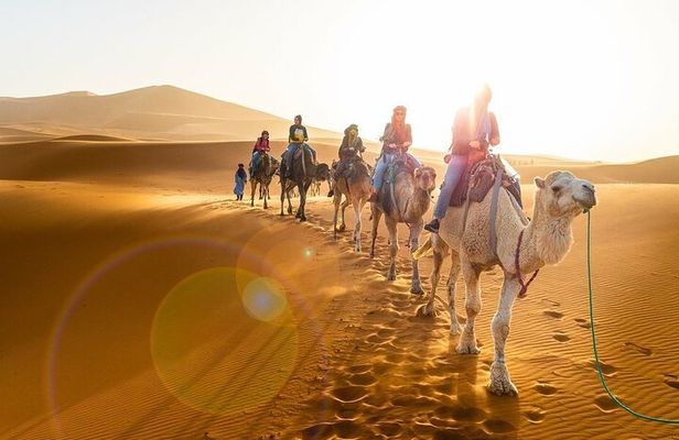 Sunset & Sunrise In Merzouga Desert by Camel Ride or Jeep Safaris