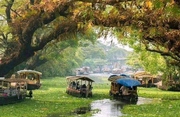Kumarakom Coconut Lagoons, Paddies, Birds, & Fish Experience Tour