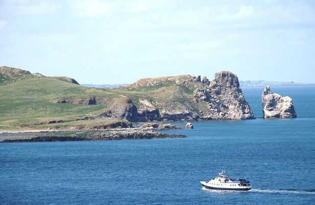 Howth - Howth Cliffs & Ireland's Eye 1 hour Tour