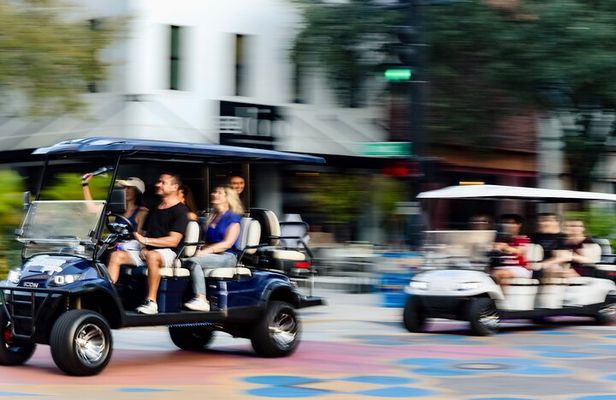 Guided St. Pete Sightseeing Tour in Deluxe Street Legal Golf Cart