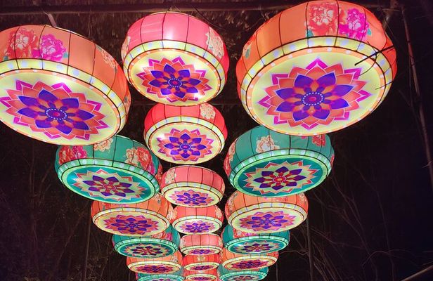 Holiday Lights Tour with Asian Lantern Festival Visit