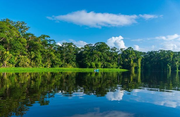 Tortuguero: Canoe Tour + Night Jungle Tour + Cerro Viewpoint Tour