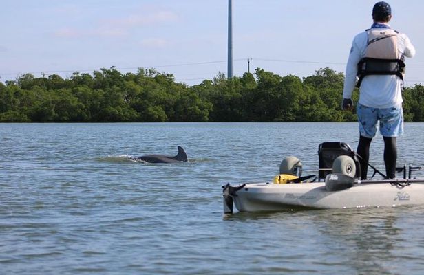 Kayak Tour Marco Island and Naples