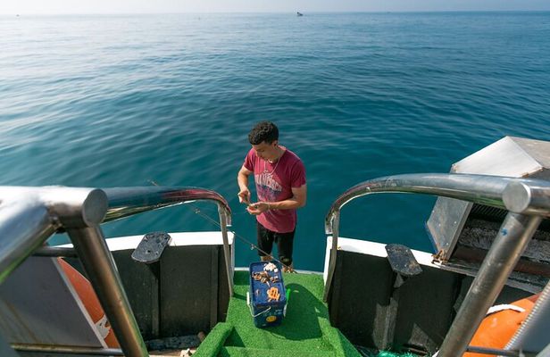 Boat Trip in Agadir Marina pick up from the Hotel