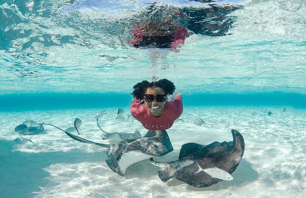 4 hour Private Boat charter to Stingray City, Snorkeling and More