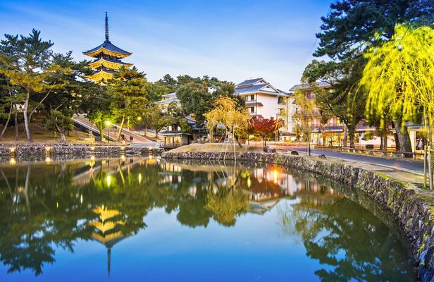 Private Journey in Nara’s Historical Wonder