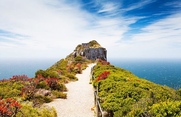 Cape Point and Boulder’s Penguin Private Adventure