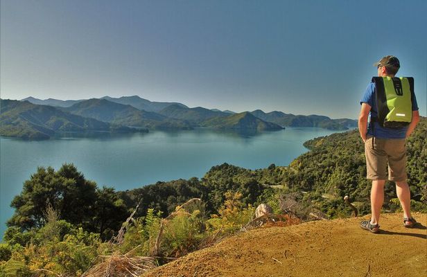 Full Day Kayak & Walk Tour-Queen Charlotte Sound & Link Pathway