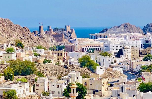 Muscat City Tour with Omani Guide (Private).