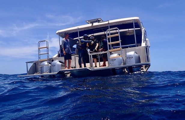Diving in Koh Tao