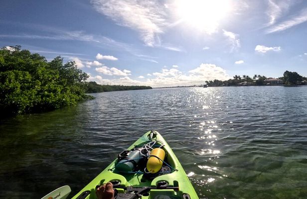 Lido Key Pedal Kayak Tour in Sarasota