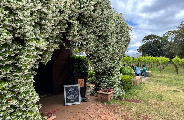 Deluxe Winery Tour to Tamborine Mountain (Mon-Tues)