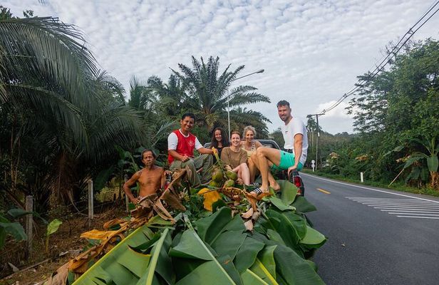 Khao Lak Ethical Elephant Sanctuary Small Group Tour