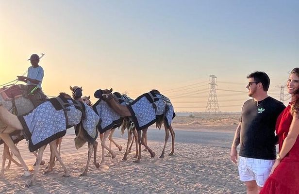 Doha Layover or Doha Stopover Tour with Desert & City Tour
