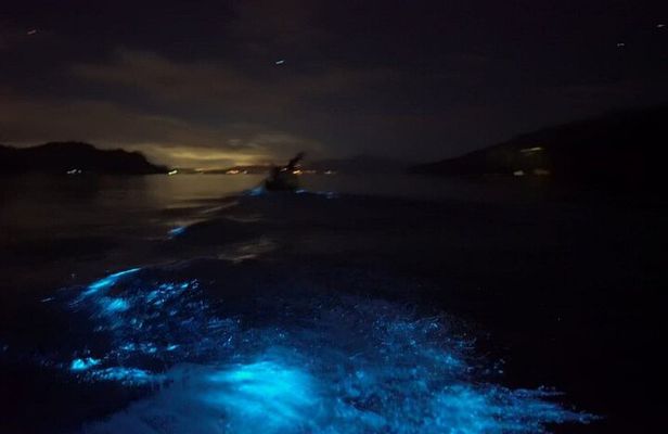Eddy's Bioluminescence Reserve in Punta Cuchillos