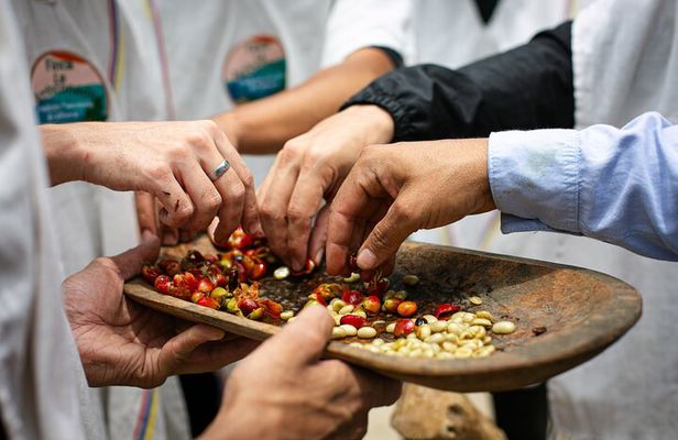 Coffee Tour with arrival on horseback and sugar cane processing
