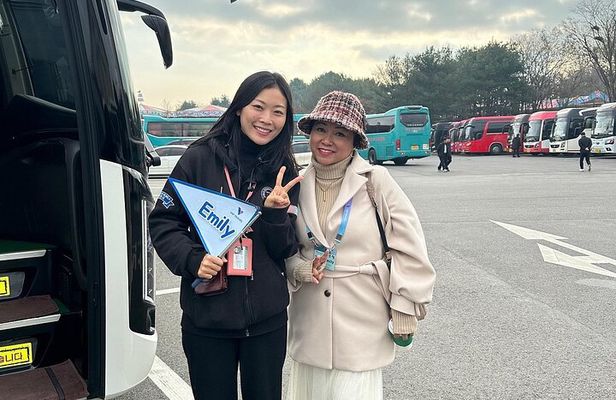 Seoul City Private Tour (Optional : Seoul, DMZ, Nami Island)