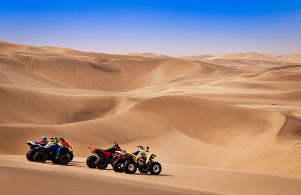 Doha: Quadbike, Dune Bashing, Camel Ride, Inland Sea Visit