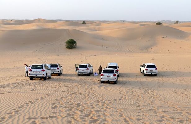 Morning Desert Safari with Quad Bike Tours