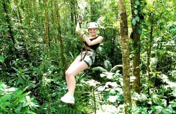 Treetops Zipline Tour with Drop off Transfer to Nadi Airport