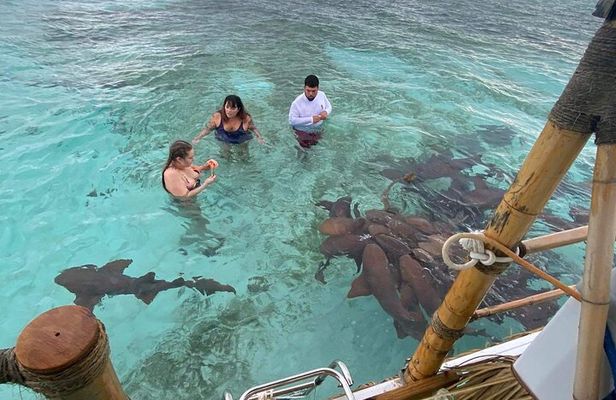 Shark & Ray Afternoon Swim Tiki Bar Cruise