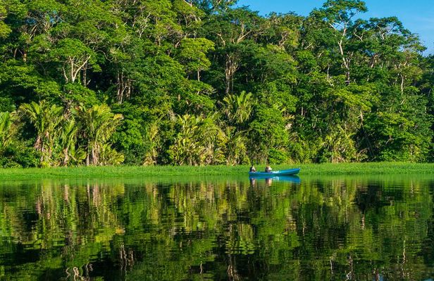Tortuguero:Canoe tour, day hike, hill tour, night or spawning tour