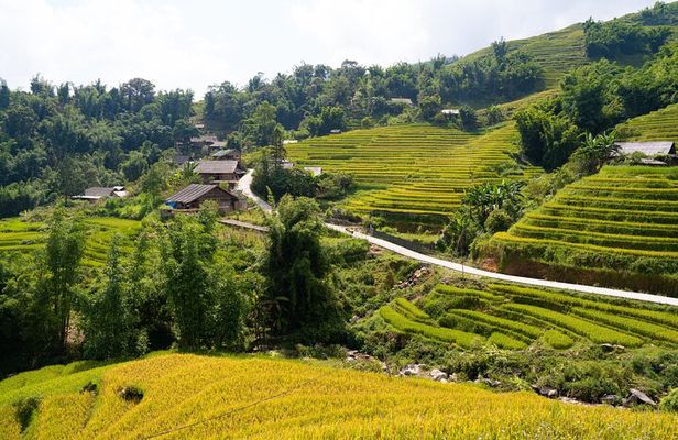 3-Days Sapa Trekking With Local Guide Overnight in Tavan Village