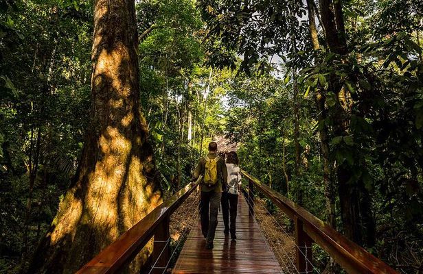 4 Day Tour in Tambopata National Reserve