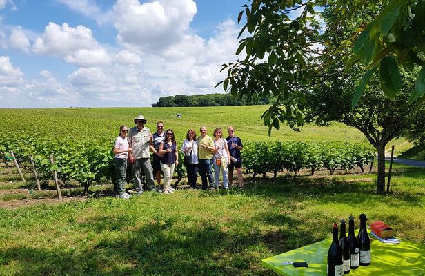 Loire Valley Half Day Wine Tour from Tours : Vouvray Wine Tasting
