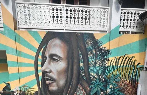 Bob Marley 9 miles Birth Home & Dunn’s River Falls Experience