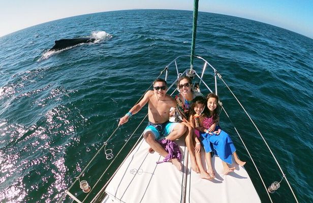 4-Hour Private Whale Watching in Puerto Vallarta