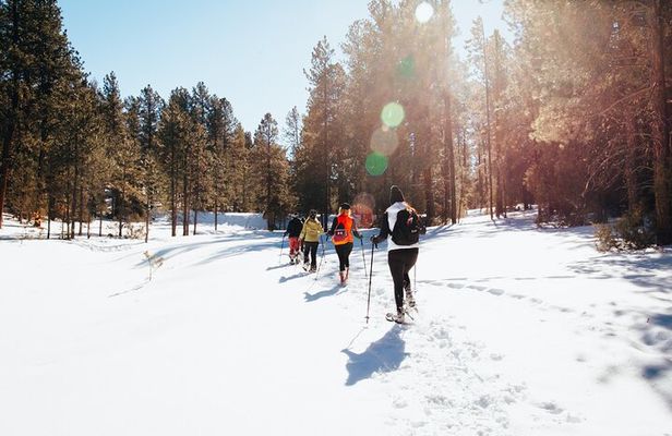 Taos Backcountry Snowshoe Tour