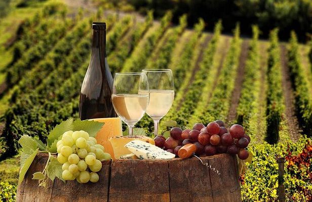 Wine Tasting Experience Etna Nord