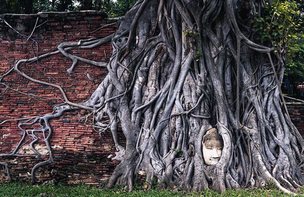Ayutthaya Landmark Tour with Famous Temple & Floating Market