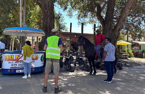 2 Hour Storms River Horse Trails Activity 