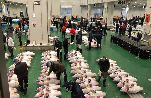 Morning Market Adventure: Toyosu & Tsukiji with Tuna Auction