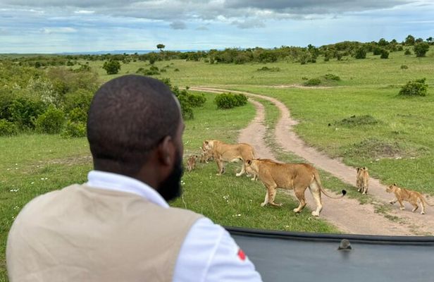 3 Days Maasai Mara Safari With Special Rates