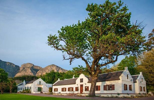 Private Tour to 20 Wine Tasting in Stellenbosch and Franschhoek