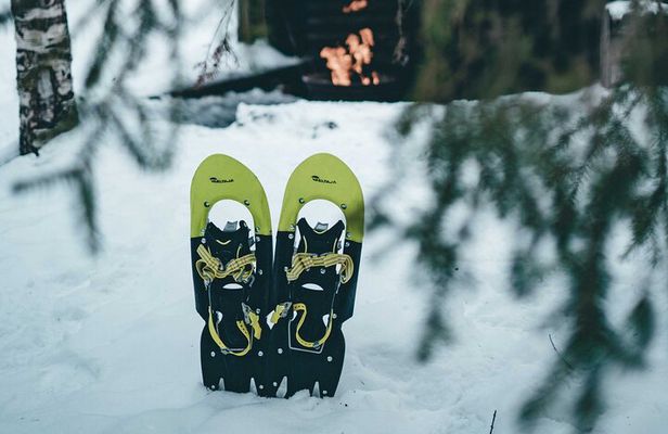Rovaniemi: Snowshoeing in a magical snowy forest
