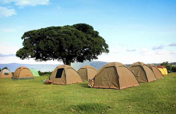 6 Days in the Wild – A Budget Safari Across Tanzania’s Icons