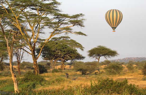 Affordable 3-Day Safari to Serengeti & Ngorongoro Crater