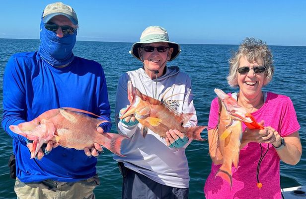 4 Hour Private Fishing Excursions in Anna Maria Island