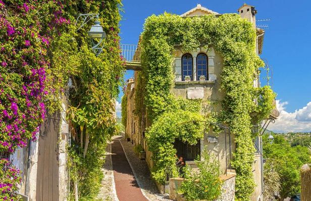 Wine Tasting, Provencal Market, Cannes and St Paul de Vence